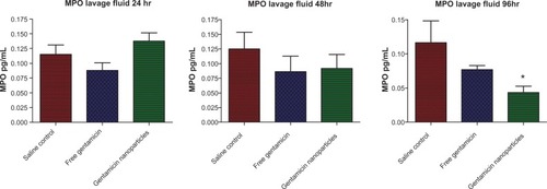 Figure 5 MPO levels in lavage fluid (U/mL) at 24, 48, and 96 hours in mice treated with gentamicin nanoparticles, free gentamicin, and normal saline.Notes: *P < 0.05; n = 4.Abbreviation: MPO, myeloperoxidase.