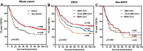 Figure 2 Prognostic significance of BMI in ESCC and non-ESCC groups. The overall survival rate was calculated using the Kaplan-Meier method and analyzed with the log-rank test. The patients were categorized into either the ESCC group or the non-ESCC group. (A) The 10 year overall survival rate was different in these two groups. (B) A high BMI was a favorable prognostic factor in the ESCC group. (C) There were no statistically significant differences in the non-ESCC group. Abbreviations: BMI, body mass index; ESCC, esophageal squamous cell carcinoma.