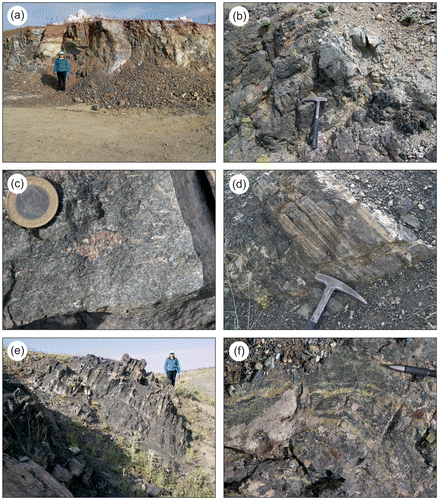 Figure 6. Rock units in the metamorphic sole and overlying peridotite. Serpentinized harzburgite (a), tectonic contact between the metamorphic sole and the serpentinite (b), garnet-bearing amphibolite (c), plagioclase-amphibole schist (d), amphibolite schist (e), and epidote-amphibole schist (f).