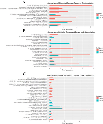 Figure 3. Comparison of GO terms for H2O2-specific regulated protein expression in vector control and LCMT1-overexpressing cells. All terms were filtered by P < 0.001. (A) Biological processes. (B) Molecular function. (C) Cellular components.