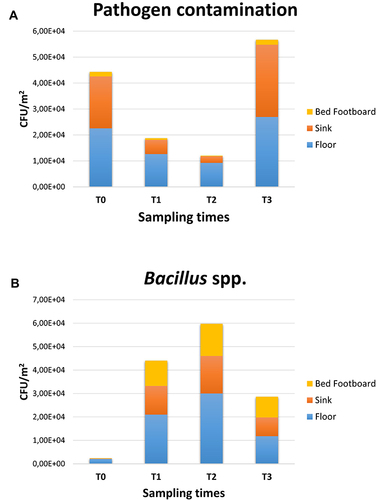 Figure 4 Pathogen contamination and PCHS-derived Bacillus amount in the pre-PCHS and PCHS periods on different surfaces. Results of conventional culture-based analyses (CFU counts). (A) Pathogen cumulative amount on floor, sink and bed footboard before (T0) and after PCHS implementation (T1, T2, T3); (B) PCHS-derived Bacillus amount detected on floor, sink and bed footboard surfaces before (T0) and after PCHS implementation (T1, T2, T3). The results are expressed as median value of CFU/m2 ± S.D.