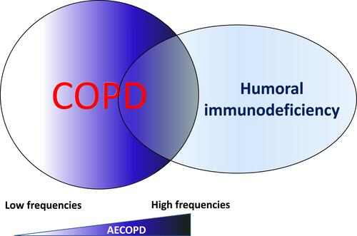 Figure 1 Author’s proposed hypothesis. Humoral immunodeficiency is more prevalent in COPD patients with “high-risk of exacerbations phenotype” than those with a “low-risk of exacerbations phenotype”.
