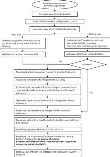Fig. 1 Algorithm of pharmaceutical care in the AR-PRISE model