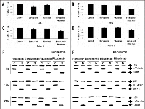 Figure 6 NFκB inhibition after treatment with bortezomib and/or rituximab. p65 activity in nuclear extracts collected at 12 hours from treated Jeko (A) and Mino (B) cells, as well as patient samples (C and D). Relative NFκB activity in bortezomib plus rituximab treated Jeko and Mino cell lines was significantly reduced (p = 0.00009 and p = 0.00015 vs. control; p = 0.00035 and p = 0.000006 vs. bortezomib alone; p = 0.000015 and p = 0.000025 vs. rituximab alone, respectively). In MCL patients (C and D), combination treatment also significantly reduced NFκB activity compared to herceptin control (p = 0.015 and p = 0.033, respectively) but not compared to each treatment alone. Nuclear and cytoplasmic protein fractions collected at 6, 12 and 24 hours were prepared from Jeko (E) and Mino (F) cell lines and subjected to immunoblot analysis for p65, α-tubulin (cytoplasmic control) and Brg-1 (nuclear control) (H, herceptin; B, bortezomib; R, rituximab; B + R, bortezomib + rituximab).