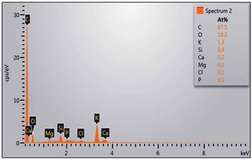 Figure 5. EDX analysis results for biochar.