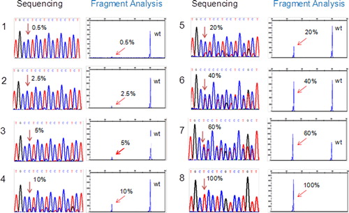 Figure 2. Titration analyses of sensitivity of CALR mutation screening by sequencing and fragment analyses.