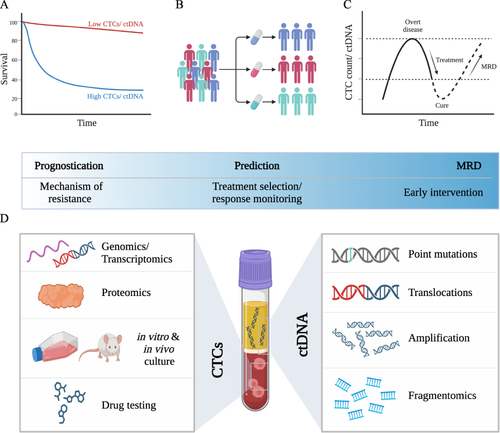 Figure 3 CTCs and ctDNA as liquid biopsies in breast cancer. CTCs and ctDNA as independent (A) prognostic (PFS, OS) and (B) predictive biomarkers. (C) CTCs and ctDNA as sensitive and minimally invasive biomarkers for minimal residual disease (MRD). (D) Potential application of molecular and multi-omics analysis, disease modeling (avatar models) and drug testing of CTCs, and extensive genomics profiling of ctDNA.