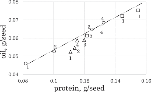 Figure 4. Effects of the N fertilization on the amounts of protein and oil per seed from plants of the three soybean genotypes. Shapes of symbols indicate the same genotype as those described in Figure 2 legend. Numbers beside marks indicate types of N plots where plants were grown as follows: 1: L-L, 2: H-L, 3: L-H, and 4: H-H. The dotted line indicates the coefficient line between the amount of oil per seed and the amount of protein per seed from En1282 plants (p = 0.01).