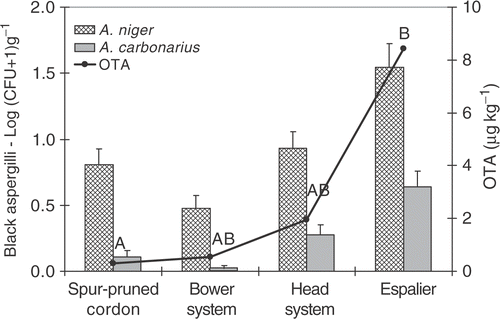 Figure 2. Influence of the training systems on the epiphitic black aspergilli in CFU g−1 of grape berries samples and the OTA contamination in the Primitivo variety during 2004/2005. OTA levels with same letters are not significantly different according to the Duncan test (p < 0.01).