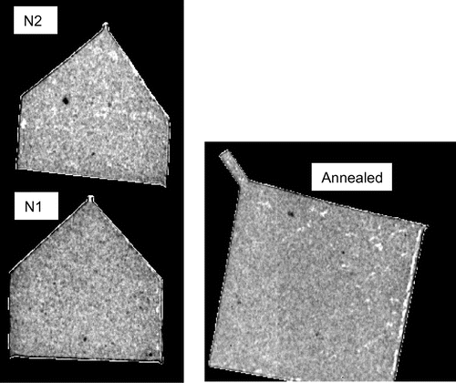 Figure 6. Neutron transmission image obtained by summation of images acquired for the wavelengths past the last Bragg edge (4.5 to 7.5 Å). The contrast is due to density/composition variation from either inclusions or voids, instead of crystallographic properties as no coherent scattering is possible at these wavelengths.