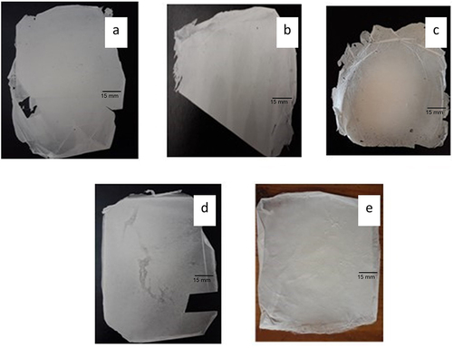 Figure 1 Photographs of different composite nanofibrous mats; (a) PVA 9% (N0), (b) placebo PVA-SA 10% composite nanofibers (N2), (c) verapamil HCl-loaded composite nanofibrous mats. PVA-SA-verapamil HCl 10/4% (N6), (d) placebo PVA-Z (25%) composite nanofibers (Z4), and (e) verapamil HCl loaded composite nanofibrous mats PVA-Z-verapamil HCl (25/2%) (Z5).