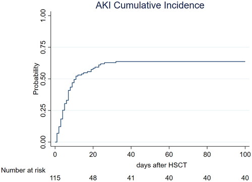 Figure 1. Cumulative incidence of AKI post HSCT. Cumulative incidence function of AKI according to the KDIGO classification using serum creatinine rise criteria and urinary output criteria. Death was considered a competing event. AKI: acute kidney injury.