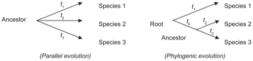 Figure 1 Evolution models.