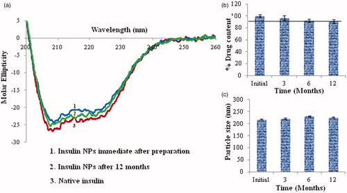 Figure 4. Stability of insulin nanoparticles at the end of 12 months evaluated by (a) CD spectra, (b) drug content (c) particle size.