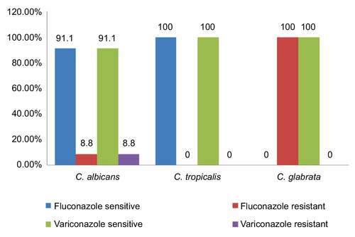 Figure 4 Antifungal susceptibility pattern of azoles in VVC.