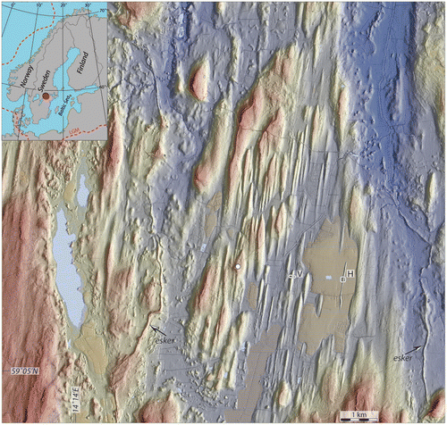 Figure 15. Hill shaded DSM of streamlined terrain with soft-core drumlins around Hackvad (Hackvad church is marked by the white dot) on the Närke Plain, south central Sweden (the red dot in the upper left corner of the inset map shows the location of the area in a regional context). Colour coding is from ~90 (reddish) to 41 (bluish) m a.s.l. White ovals mark the positions of cross-ridge trenches performed (left: the Västergården (V) drumlin; right: the Hullingsåsen (H) drumlin), reported in Möller and Dowling (Citation2016). LiDAR data provided by Lantmäteriverket, Sweden; ©Lantmäteriverket i212/927.