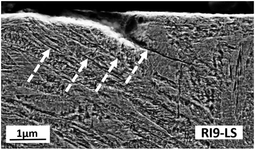 Figure 8. Distinct features associated with surface cracks.