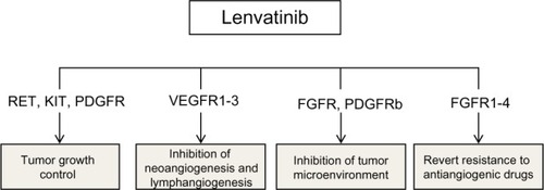 Figure 3 Proposed mechanism of action of lenvatinib.