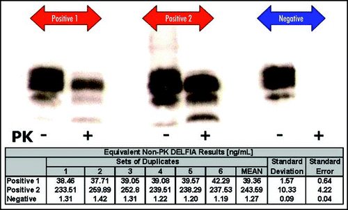 Figure 3 Measurement of disease-associated PrP in histology-confirmed scrapie positive and negative rostral medulla using Western blot and DELFIA®.