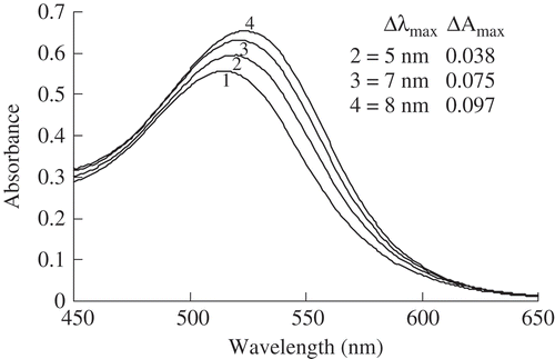 FIGURE 1 Effect of various concentrations of ferulic acid on the visible light spectral characteristics in the model system. (1): control samples (anthocyanins without ferulic acid; λmax = 515 nm and Amax = 0.557); (2), (3), and (4): test samples (anthocyanins with ferulic acid) with various concentrations (2, 4, and 6 mg mL–Citation1, respectively) of ferulic acid.