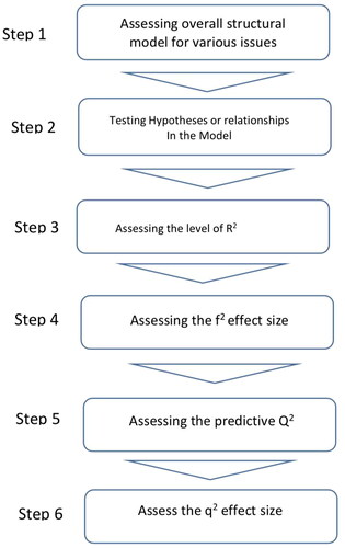 Figure 2. Structural model assessment procedure.