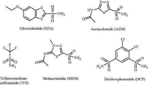 Figure 1. Chemical structures and abbreviations of the CA inhibitors used in this study. Every inhibitor bears a sulfonamide group that binds to the zinc atom of the CA active site.