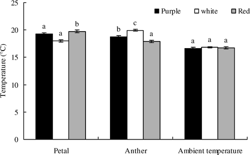 FIGURE 6 Mean ambient, petal, and anther temperatures of the dyed flowers while flowers are open on sunny days. Values are given as mean ± 1SE. Significant temperature differences among the colors are indicated by different lower-case letters (p < 0.05 level). The sample size (N) is 150 for each color.