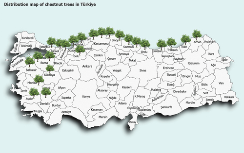 Figure 1. Distribution map of chestnut trees in Türkiye (OGM, Citation2021).