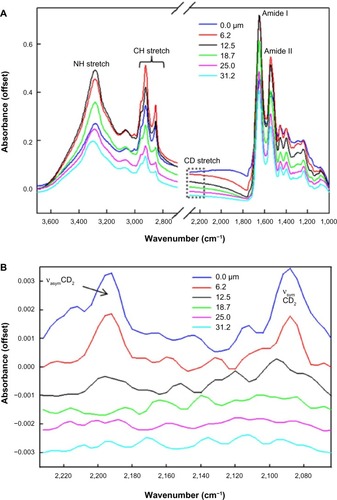 Figure 1 (A) Typical single-pixel infrared spectra of N-palmitoyl-D-erythro-sphingosine (CER[NS]-d31) at different depths in skin. (B) The CD2 stretching region (2,234–2,064 cm−1) is highlighted at the same depths in A. This spectral region is baseline corrected.