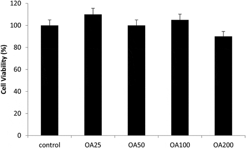 Figure 2. Viability of HT22 cells after 24 h treatment with Octaviania asterosperma extract (25, 50, 100 and 200 µg/ml)