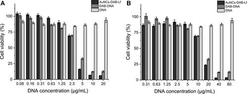 Figure 7 Anti-proliferative activity of AuNCs-DAB-Lf complexed with DNA-encoding TNFα at conjugate: DNA weight ratio of 40:1 (A) and 10:1 (B) in PC-3 cells (n = 15).