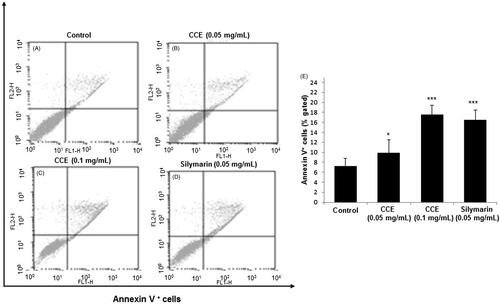 Figure 3. Effect of CCE on apoptosis in activated HSC-T6 cells. (A) Control cells. Flow cytometric data indicate apoptosis in HSC-T6 cells after incubation with CCE 0.05 mg/mL (B), CCE 0.1 mg/mL (C) and silymarin 0.05 mg/mL (D) for 24 h. E: Data showed the apoptotic (Annexin V+ and PI−) and late apoptotic (Annexin V+ and PI+) cells. Data are represented as mean ± S.E.M. (n = 10) using one-way analysis of variance (ANOVA) followed by Student’s t-test. *p < 0.05 and ***p < 0.001, as compared with control group.