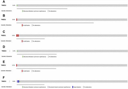 Figure 7 TMED2-related genetic alterations and CNVs in TCGA CESC, ESCA, HNSC, KIRC, LIHC, and LUAD datasets. (A) In CESC dataset, (B) In ESCA dataset, (C) In HNSC dataset, (D) In KIRC dataset, (E) In LIHC dataset and, (F) In LUAD dataset.