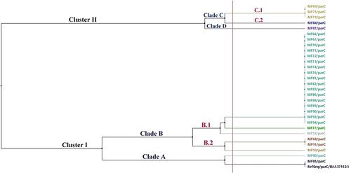 Figure 8 Phylogenetic relatedness between the sequenced parC genes and the BAA37152.1 reference sequence using the neighbor-joining method utilizing % identity from MAFFTWS alignment.