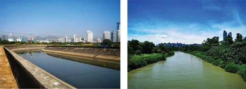Photo 4. Fengtang River before (left) and after restoration (right). Photographer: Hua-Lin Xu.