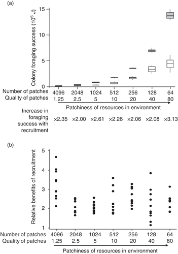 Figure 3. (a) In our model, bees had a higher net energy gain in patchy environments (ones with few, rich resources) compared with ones with many small resources. Boxes show median and interquartile interval, whiskers show range; grey: with recruitment; white: without recruitment. (b) In the same environments, the benefits of recruitment, however, were always the same (no relationship with patchiness). Each data point is the ratio of energy collected in a simulation run with recruitment over that collected in a simulation run without recruitment.