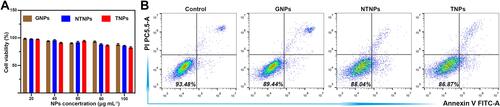Figure 4 Cytotoxicity of different kinds of NPs to RAW 264.7 cells. (A) Cell viability of RAW 264.7 cells incubated with different NPs for 24 h. (B) Apoptosis results of RAW 264.7 cells incubated with different NPs for 24 h by flow cytometry.