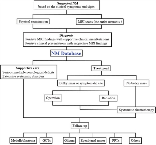 Figure 1 The initial workup for NM. The patients suspected with NM should be evaluated according to the neurological examination and MRI scans, and then the confirmed NM cases would be included in the NM database and receive the corresponding treatment and follow-up.