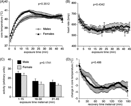 Figure 3. Physiological response to acute exposure to uncompensable heat stress. Following implantation of intraperitoneal thermal sensors, male and female mice with were exposed to 43°C for 45 min, then returned to 22°C while continuously monitoring core temperature, heart rate and activity level from the intraperitoneal sensors. Core temperature (A) and heart rate (B) were measured every 20 s, and 1-min means calculated. Activity (C) was measured every 20 s, and 15-min means calculated. (D) During recovery, core temperature was measured every 20 s, 2-min means calculated and expressed as change from the core temperature measured at the end of the acute heat exposure. Data are expressed as mean ± SEM of 16 male and 16 female mice. P values are indicated in the figure panels.