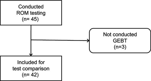 Figure 2 Inclusion flow chart.Abbreviations: ROM, [gastric emptying of] radiopaque markers; GEBT, 13Carbon-labelled gastric emptying breath test of solids.