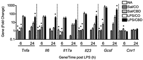 Figure 5.  Effect of CBD on LPS-induced pro-inflammatory cytokines. Mice were treated as outlined in the legend for Figure 2. Total RNA was isolated from right lung lobes and QRT-PCR was performed. Bars represent fold-change relative to naive (NA) group at 6 h (NA; not analyzed at 24-h timepoint). Results are representative from two separate experiments. * p < 0.05 as compared to LPS/Oil at each respective timepoint.