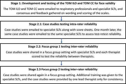 Figure 3. Stages of development and validation of the TOM ILO and TOM CC.