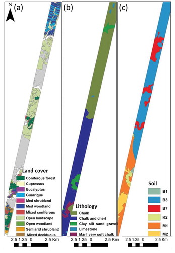 Figure 4. The categories of environmental and human-derived explanatory variables of local species richness: (a) land cover; (b) lithology; (c) soil type