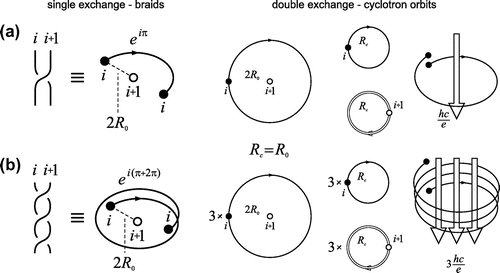 Figure 3. The braid generator σi corresponds to the single exchange of particles (left), the cyclotron orbit (relative) corresponds to the double exchange (right), for (a) ν=1 when single-looped cyclotron trajectory reaches neighboring particles, Rc=Ro; and (b) braid generator σi3 for ν=13 with additional loop needed for Rc=Ro (Rc is cyclotron radius, 2Ro is particle separation, i.e. πRc2=hceB, πRo2=SN).