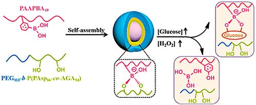 Figure 7 Schematic diagram of the preparation and reaction of nanoparticles. Reprinted with permission from Wang Y, Fan Y, Zhang M et al Glycopolypeptide nanocarriers based on dynamic covalent bonds for glucose dual-responsiveness and self-regulated release of insulin in diabetic rats. Biomacromolecules. 2020;21(4):1507–1515. Copyright © 2020 American Chemical Society.Citation125