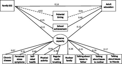 Figure 3. Girls: Structural equation model depicting relationships among family socioeconomic status (SES), pubertal timing, school achievement and reserve capacity in adolescence and adult education level (RMSEA = 0.04; CFI = 0.91). The values along the paths are standardised regression coefficients. Solid lines indicate statistically significant paths (p < 0.001).