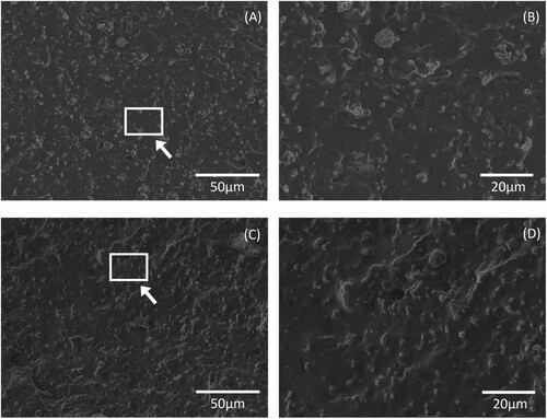 Figure 5. FESEM top view of PYR-composite (A) and its magnified region (B), and FESEM top view of EMI-composite (C) and its magnified region (D). Note that the magnified region in the right handside images correspond to the area indicated by the white square in the left handside images.