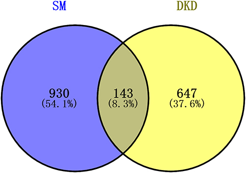 Figure 4 Venn diagram of potential targets of SM-DKD. Obtained through the Venn 2.1.0 platform. Purple represents potential targets where SM acts and yellow represents targets involved in DKD.
