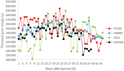 Figure 3. Thousand grain weight curves of corn kernels.