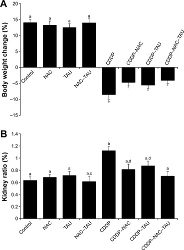 Figure 1 Effect of CDDP, NAC, and TAU both individually and in combination on (A) body weight change (%) and (B) kidney ratio (%) in male rats.